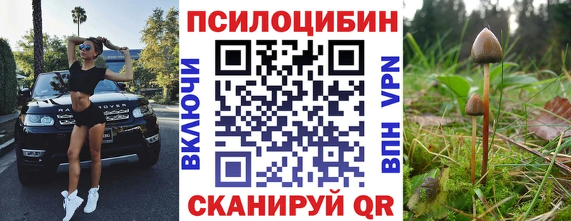Купить где  Жуков  Галлюциногенные грибы Psilocybe 